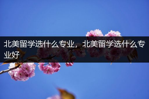 北美留学选什么专业，北美留学选什么专业好