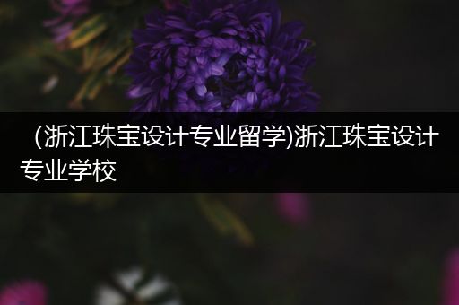 （浙江珠宝设计专业留学)浙江珠宝设计专业学校