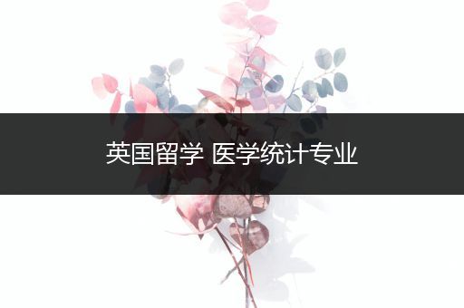 英国留学 医学统计专业