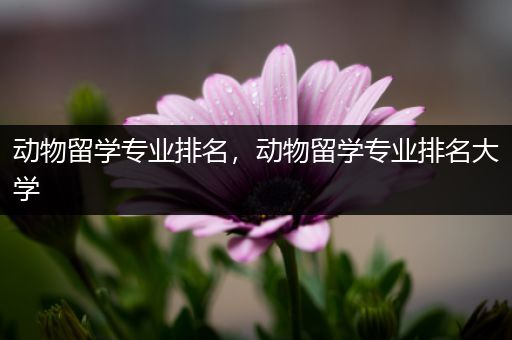 动物留学专业排名，动物留学专业排名大学