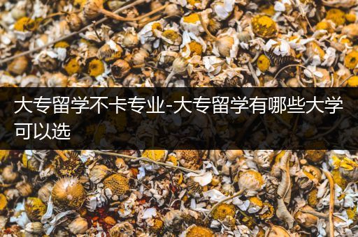 大专留学不卡专业-大专留学有哪些大学可以选