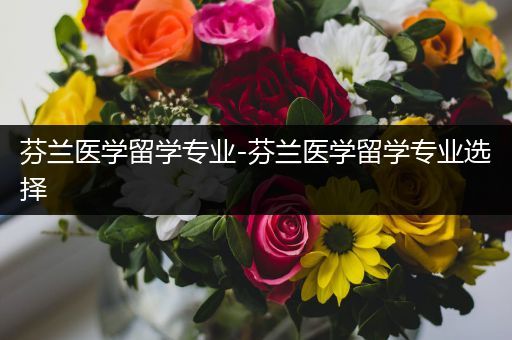 芬兰医学留学专业-芬兰医学留学专业选择