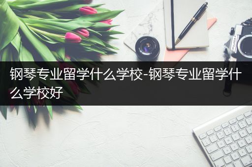 钢琴专业留学什么学校-钢琴专业留学什么学校好