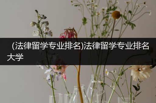 （法律留学专业排名)法律留学专业排名大学