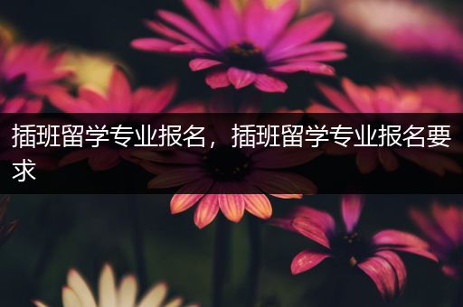 插班留学专业报名，插班留学专业报名要求