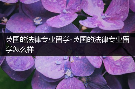 英国的法律专业留学-英国的法律专业留学怎么样