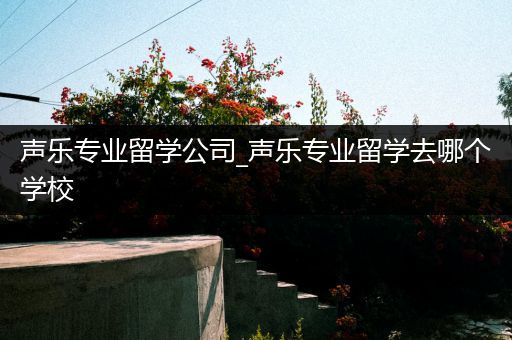 声乐专业留学公司_声乐专业留学去哪个学校