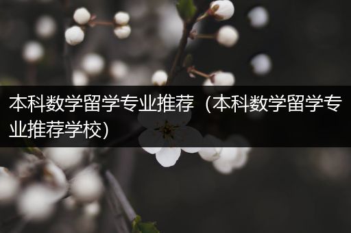 本科数学留学专业推荐（本科数学留学专业推荐学校）