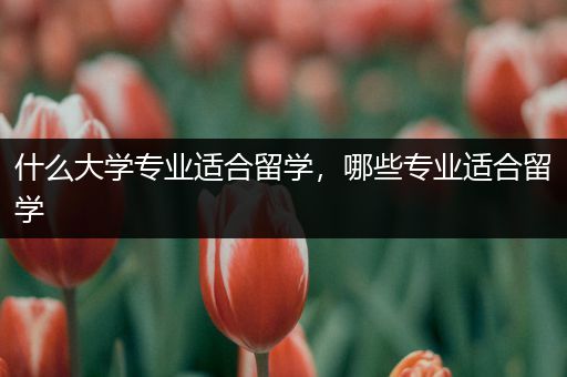 什么大学专业适合留学，哪些专业适合留学