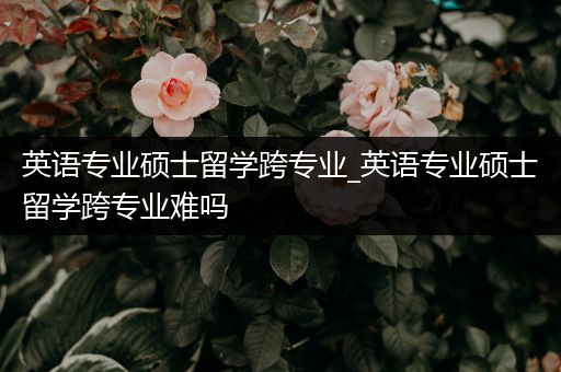 英语专业硕士留学跨专业_英语专业硕士留学跨专业难吗