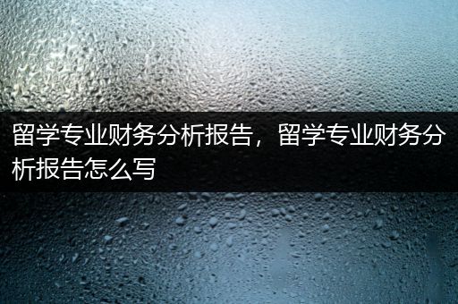 留学专业财务分析报告，留学专业财务分析报告怎么写