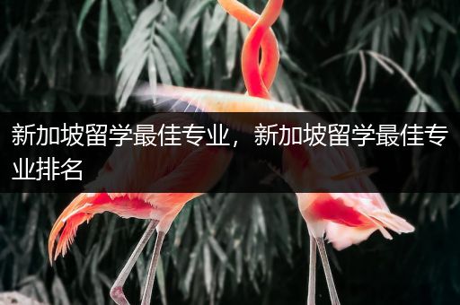 新加坡留学最佳专业，新加坡留学最佳专业排名