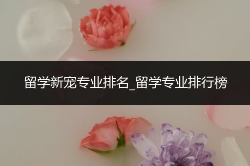 留学新宠专业排名_留学专业排行榜