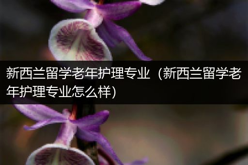 新西兰留学老年护理专业（新西兰留学老年护理专业怎么样）