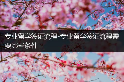 专业留学签证流程-专业留学签证流程需要哪些条件