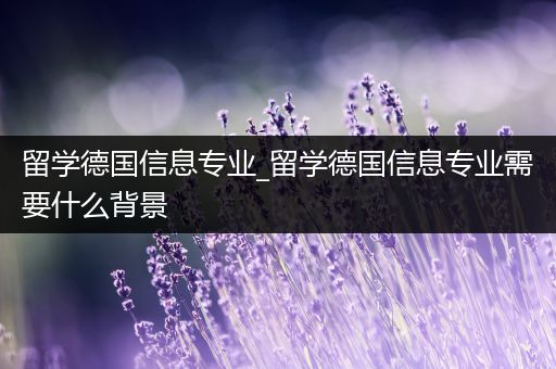 留学德国信息专业_留学德国信息专业需要什么背景