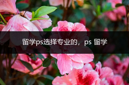 留学ps选择专业的，ps 留学