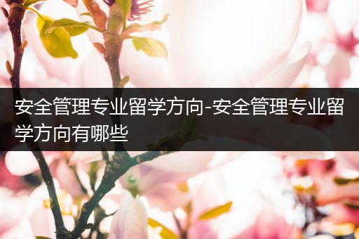 安全管理专业留学方向-安全管理专业留学方向有哪些