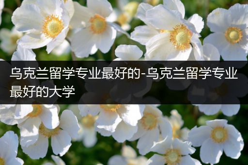 乌克兰留学专业最好的-乌克兰留学专业最好的大学