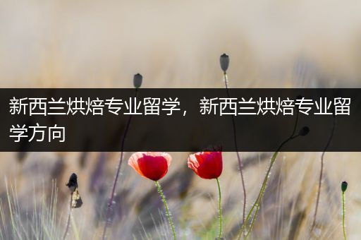 新西兰烘焙专业留学，新西兰烘焙专业留学方向