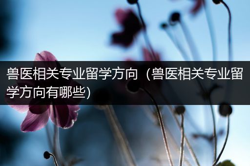 兽医相关专业留学方向（兽医相关专业留学方向有哪些）