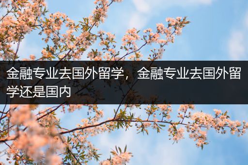 金融专业去国外留学，金融专业去国外留学还是国内