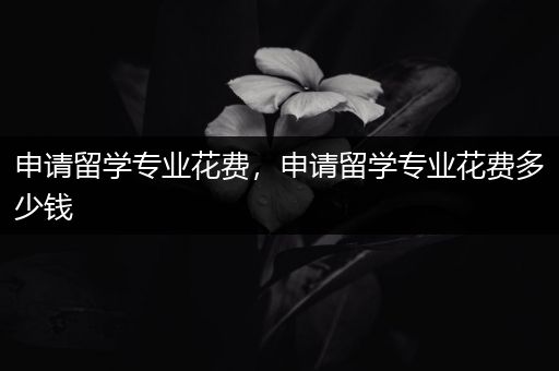 申请留学专业花费，申请留学专业花费多少钱