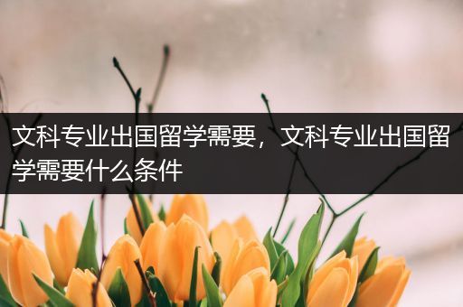 文科专业出国留学需要，文科专业出国留学需要什么条件