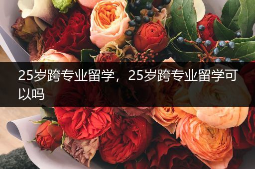 25岁跨专业留学，25岁跨专业留学可以吗