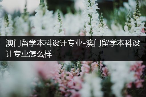 澳门留学本科设计专业-澳门留学本科设计专业怎么样