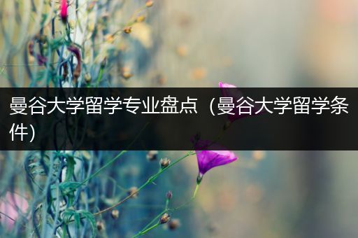 曼谷大学留学专业盘点（曼谷大学留学条件）