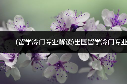 （留学冷门专业解读)出国留学冷门专业