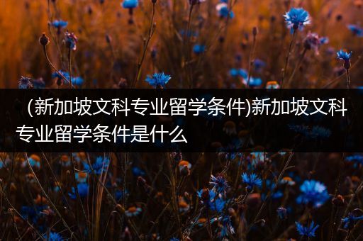 （新加坡文科专业留学条件)新加坡文科专业留学条件是什么