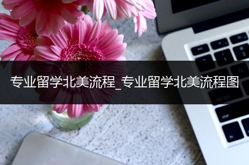 专业留学北美流程_专业留学北美流程图