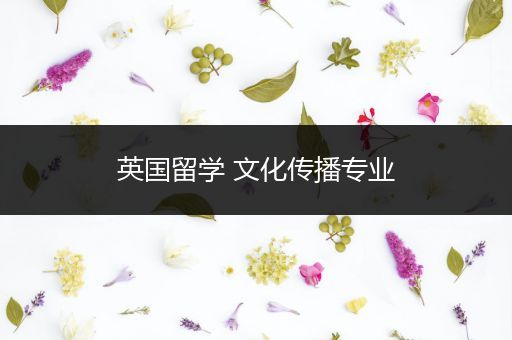 英国留学 文化传播专业