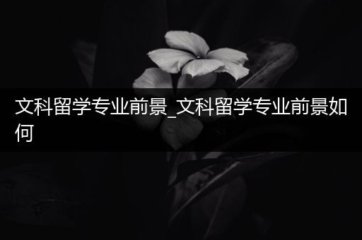 文科留学专业前景_文科留学专业前景如何