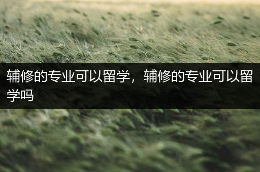 辅修的专业可以留学，辅修的专业可以留学吗