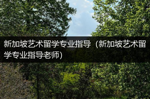 新加坡艺术留学专业指导（新加坡艺术留学专业指导老师）