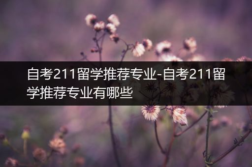 自考211留学推荐专业-自考211留学推荐专业有哪些