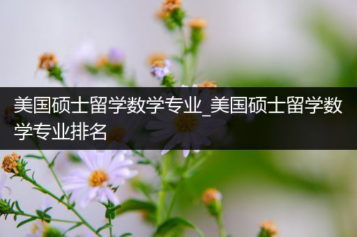 美国硕士留学数学专业_美国硕士留学数学专业排名