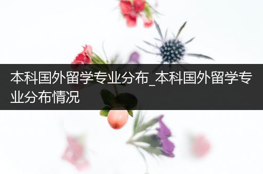 本科国外留学专业分布_本科国外留学专业分布情况