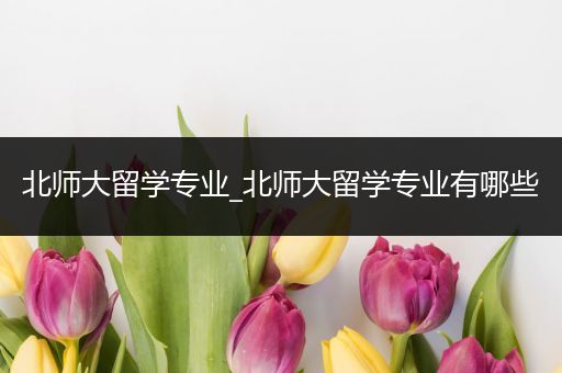 北师大留学专业_北师大留学专业有哪些