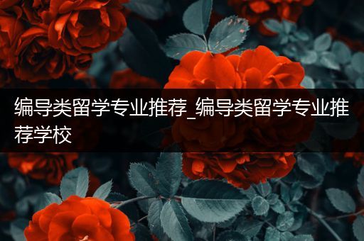 编导类留学专业推荐_编导类留学专业推荐学校