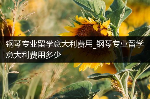 钢琴专业留学意大利费用_钢琴专业留学意大利费用多少