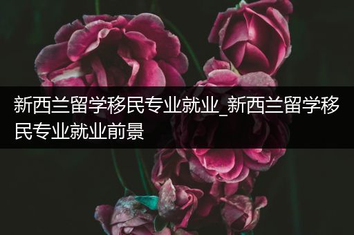 新西兰留学移民专业就业_新西兰留学移民专业就业前景