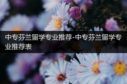 中专芬兰留学专业推荐-中专芬兰留学专业推荐表