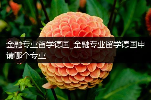 金融专业留学德国_金融专业留学德国申请哪个专业