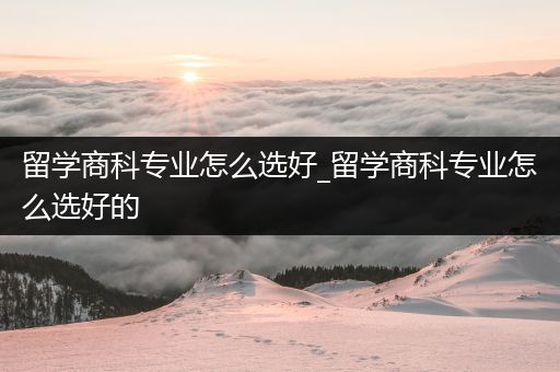 留学商科专业怎么选好_留学商科专业怎么选好的