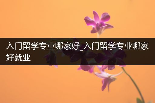 入门留学专业哪家好_入门留学专业哪家好就业