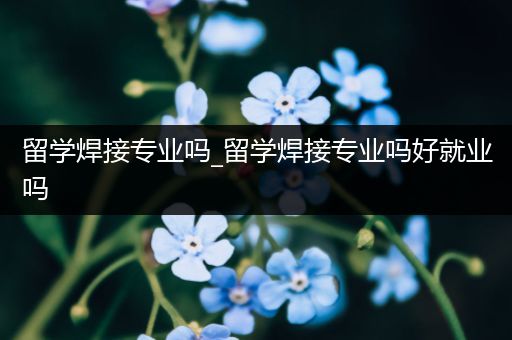 留学焊接专业吗_留学焊接专业吗好就业吗